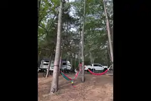 Campfire Reverie