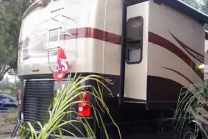 The Bulldog Express, and Pet Friendly