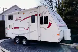 La lynx