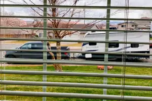 2022 Springdale RV Trailer Family & Couple Friendly