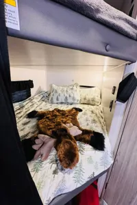 'Evelyn' 2023 Keystone RV Passport ACO2302