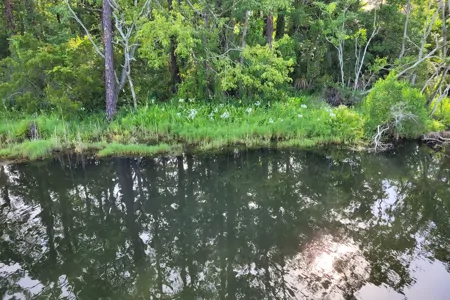 Family Creekside RV Cottage-15 Min from Beach