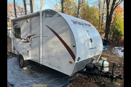 Karl Cher Wolf pup Roulotte