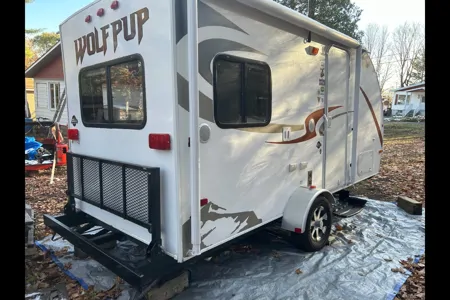 Karl Cher Wolf pup Roulotte