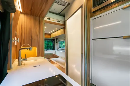 Whitetail - 2026 Noovo Plus LB - Austin Texas