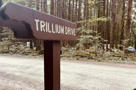 Judy Jubilee Trillium Trailer