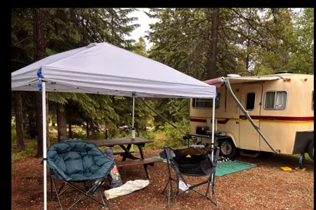 The BF Boler