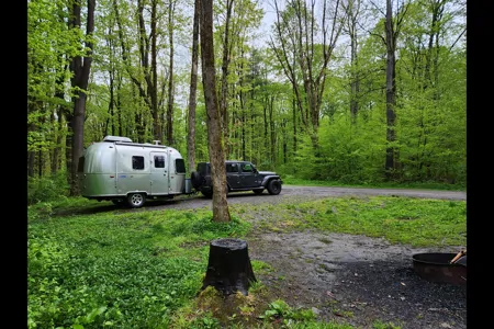 Ward's Airstream Bambi 16RB Travel Trailer