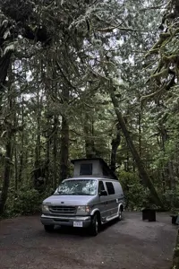 Harrison Ford - The Silver Fox