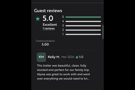 Alyssa's Forest River Vibe Travel Trailer