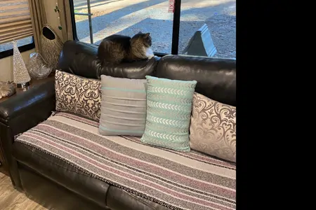 Glamping Grand Design Reflection Travel Trailer