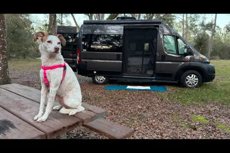 Easy to Drive Thor Motor Coach Scope 18m Class B