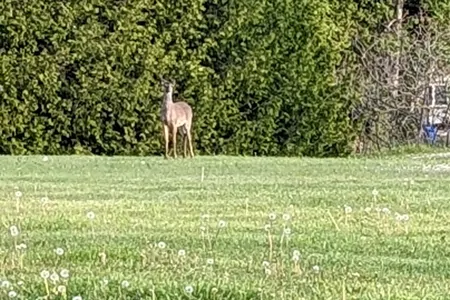 Jenny's Hideout RV Cottage 