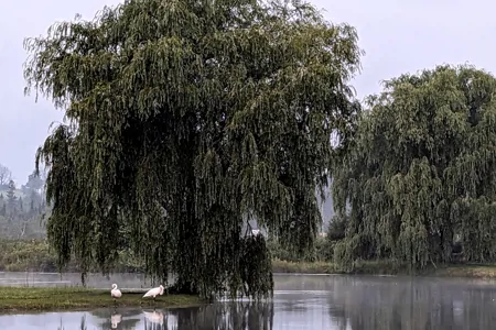 Jenny's Hideout RV Cottage 