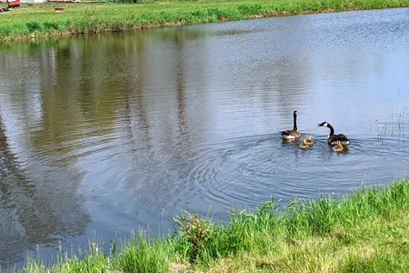 Jenny's Hideout RV Cottage 