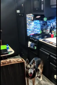 2012 Catalina Coachman