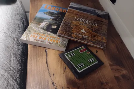 Ode to Labrador