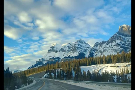 Honda  Camper (8 seats/2 sleeps)Park Pass+Airport pickup+(US/Canada)