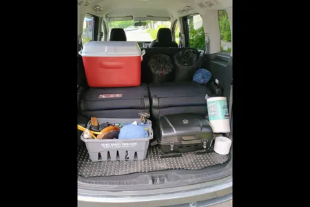 Honda  Camper (8 seats/2 sleeps)Park Pass+Airport pickup+(US/Canada)