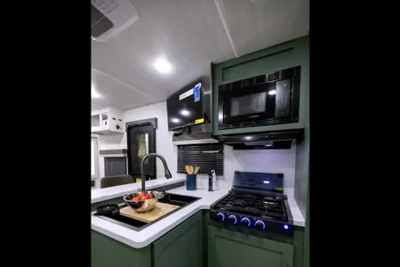 Forest River No Boundaries 20.3 Travel Trailer