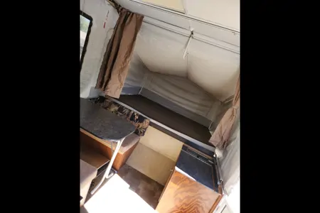 Bear'ly a Trailer