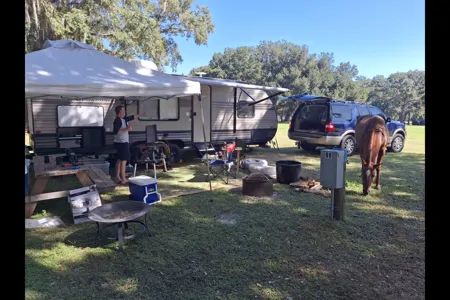 Nancy's Forest River Wildwood X-Lite 261BHXL Travel Trailer