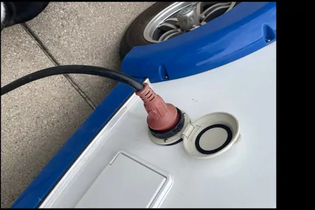 The Little Blue Bird