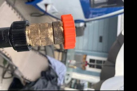 The Little Blue Bird