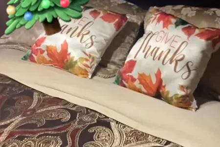 Bay Area / California 