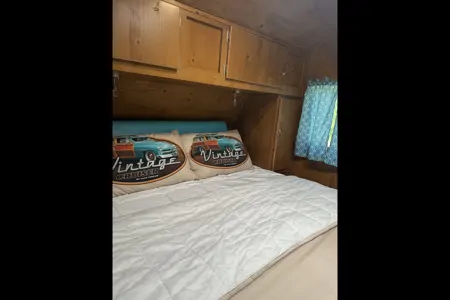 Renee's vintage cruiser adventures