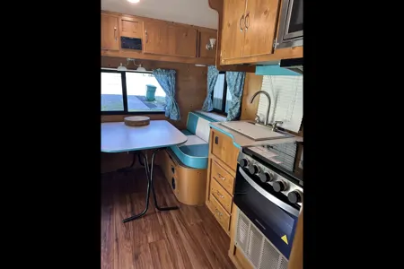 Renee's vintage cruiser adventures