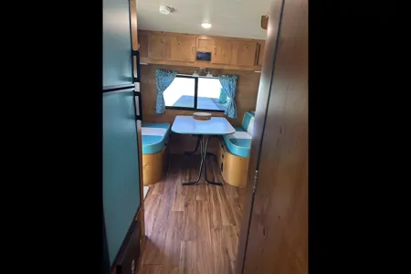 Renee's vintage cruiser adventures