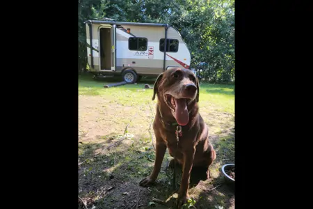Andrew's 2017 Starcraft 15RB Hybrid Light Camper