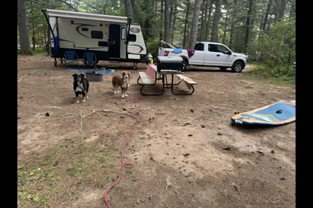 Shayne's Forest River 17bh Travel Trailer