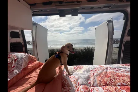 SoCal Van Life