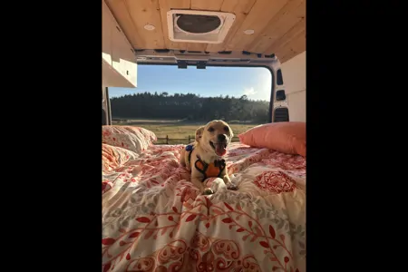 SoCal Van Life