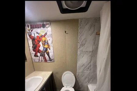 Imani's Marvel Inspired Forest River Wolf Pup Travel Trailer