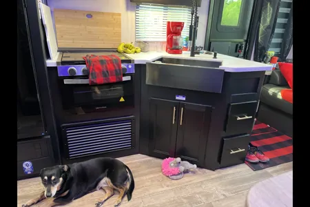 Wendy's Weekend Wolf Pup Warrier