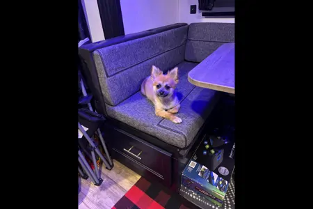 Wendy's Weekend Wolf Pup Warrier