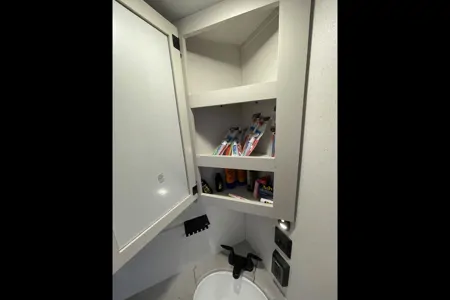 Brand New Palomino Puma 2025 