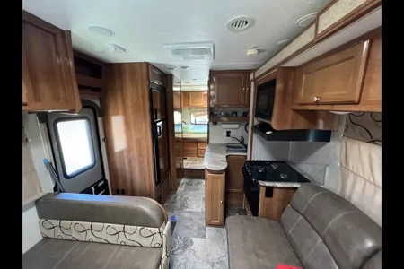 Ryker's Coachmen Leprechaun 2019