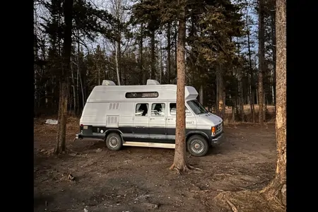 Harvie the Dodge B250