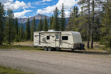 Kim's Forest River Micro lite Travel Trailer