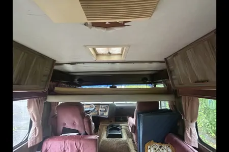 Shirley's Champion Champion Class C