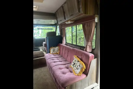 Shirley's Champion Champion Class C