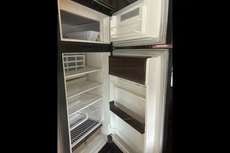 Shirley's Champion Champion Class C