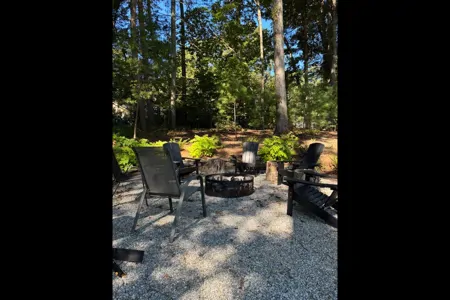 Emily's Forest River Della Terra 241BH Travel Trailer