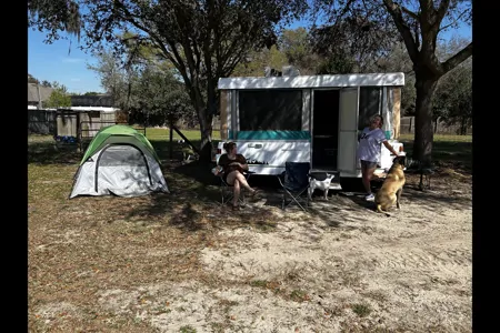 The Little Pop Up That Could