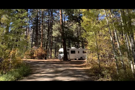 2016 Thor Motor Coach Majestic 28A Class C