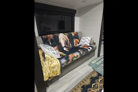 The Chihuahua Mobile